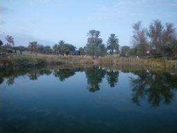 Озеро в Парке Сапир