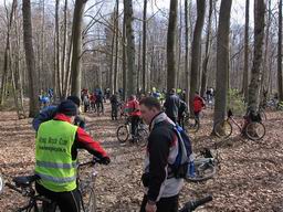 прошлогоднее открытие