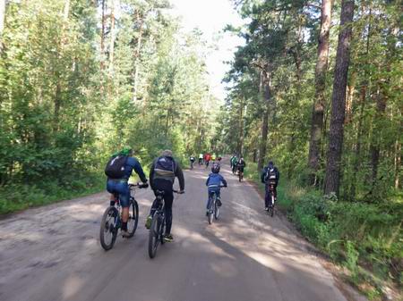 Грунтовая дорога через Балтийский лес