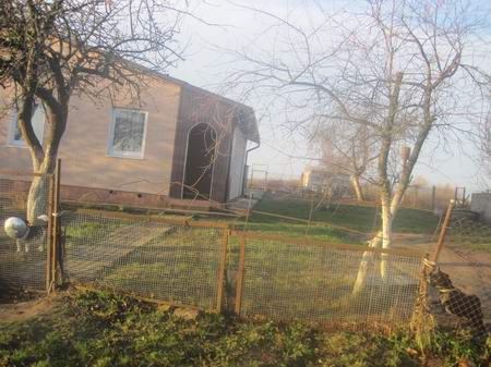 Нас облаивают собаки