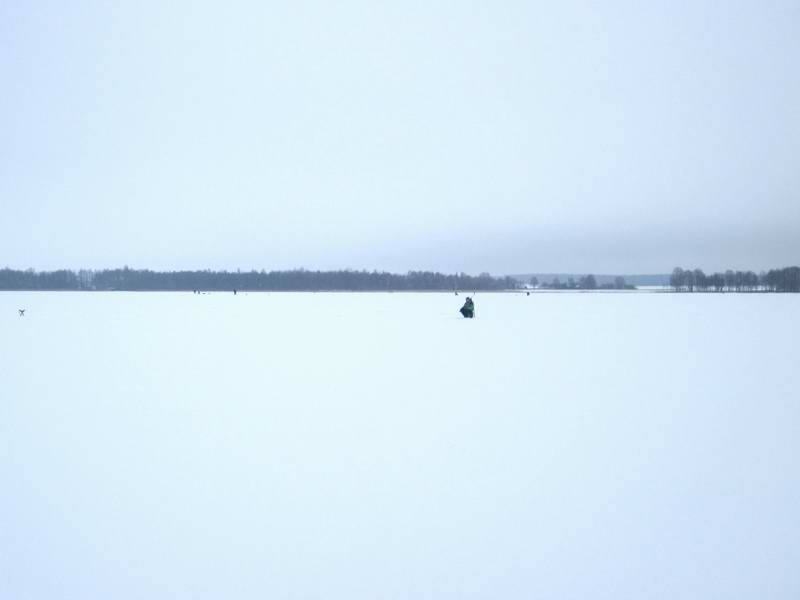 На льду озера много рабаков