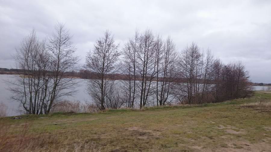 Полянка для пикника