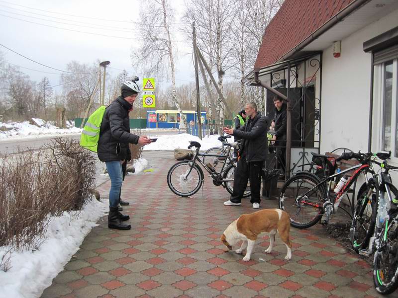 Кормим местного пса