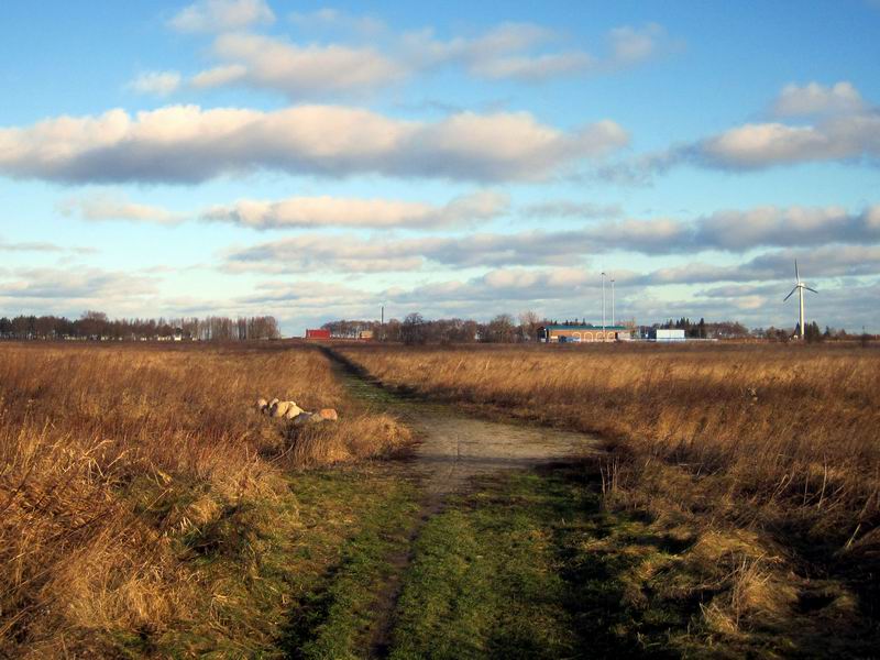 Тропинка к морю