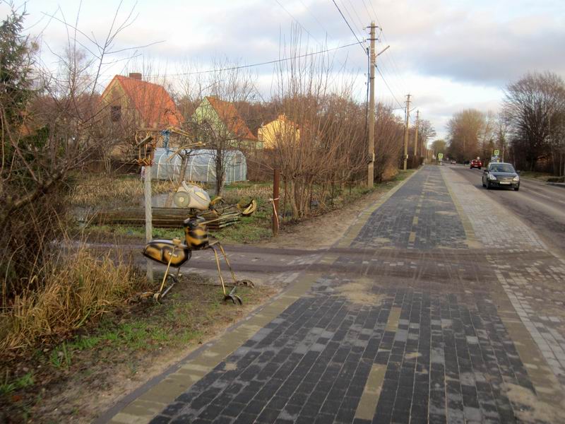 Муравей возле велодорожки в Лесном