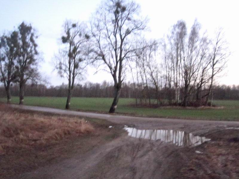 Выезд на асфальт