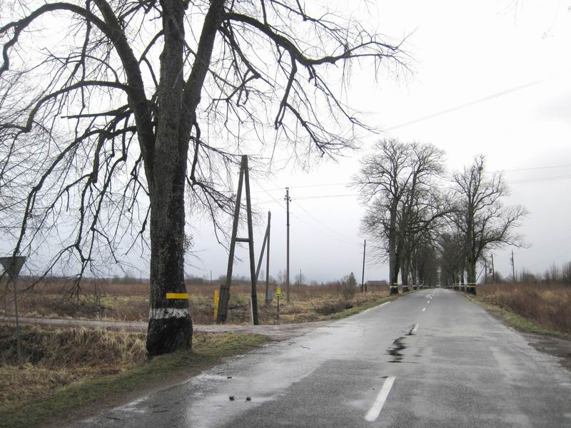 Поворот налево на грунтовку
