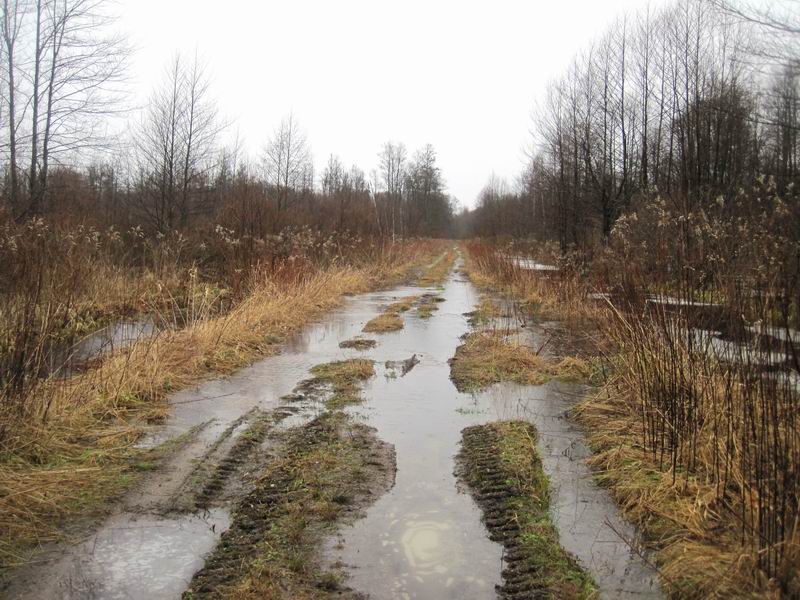 Дорога плавно уходит под воду