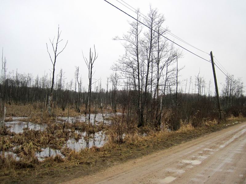 Болото
