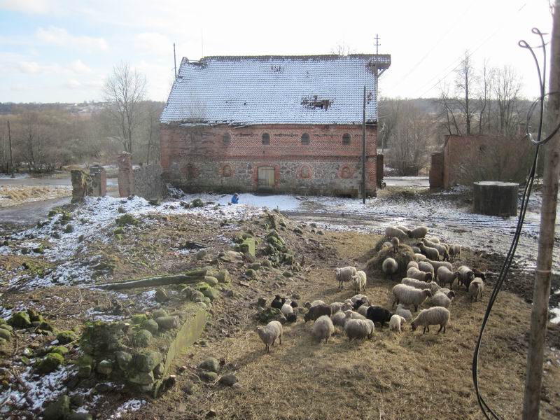 Вид с чердака