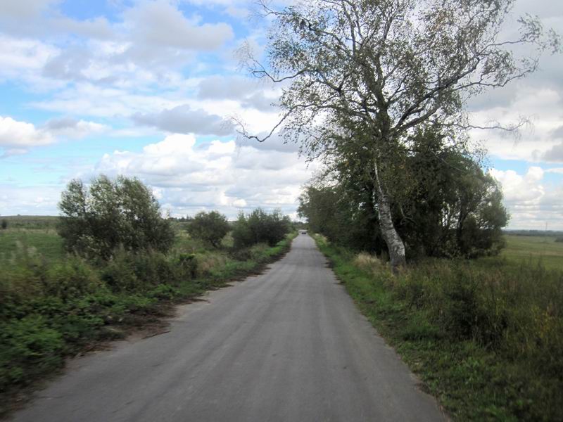 Дорога в сторону Борка