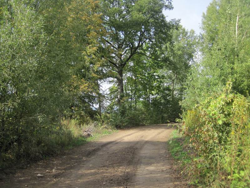Вернулись обратно на дорогу