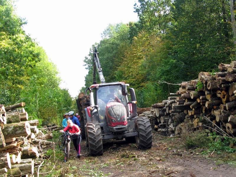 Хорошо, что у перекрестка дорога расширяется и можно его обойти.