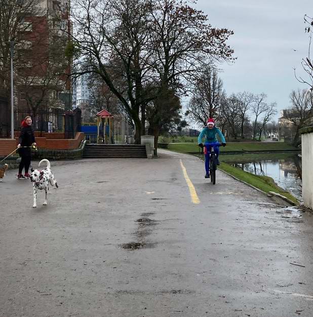 Настя Левченко и пёс Джеф