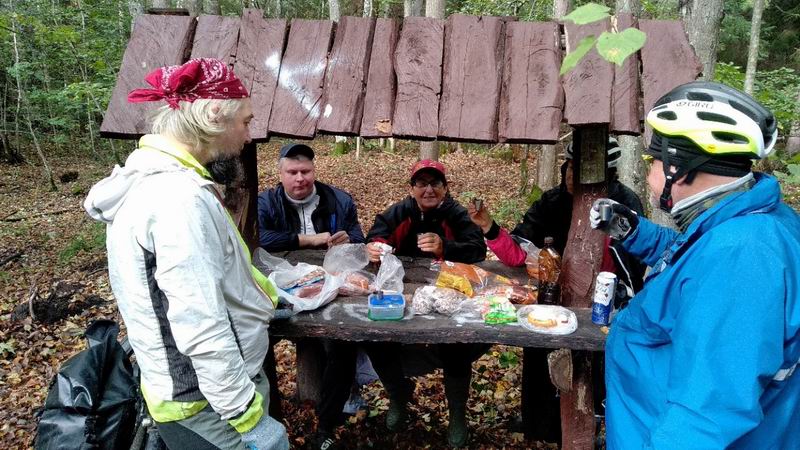 Обеденный перерыв в лесу