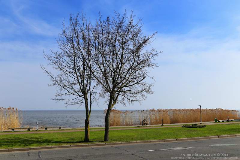 IMG_6782 IMG_6782