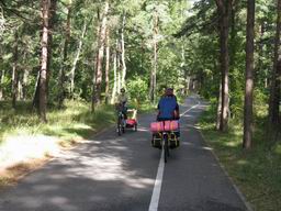 Едем в Палангу