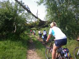 Такое вот препятствие