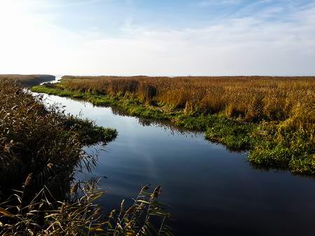 Река Нельма