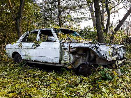 Контрольная доза тлена