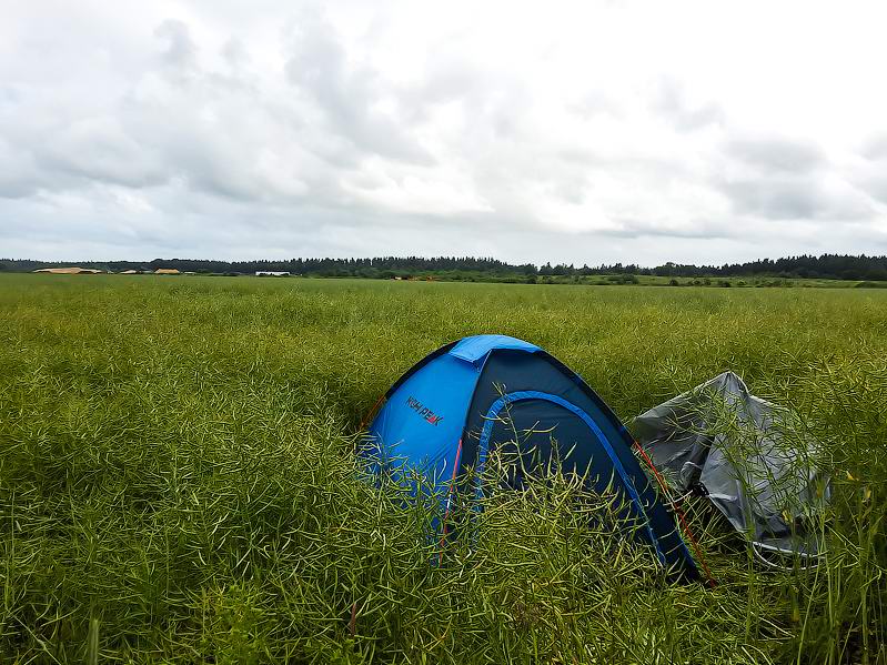 <a href='http://koenigbicycle.ru/js/ymapload/mapload.htm?maps/v1538tr.kml&53.8555555555556&9.89527777777778&17&hybrid'><img src='/images/Yandex_Maps_logo_25px.gif'></a> <a href='https://www.google.com/maps?z=15&t=h&q=53.8555555555556,9.89527777777778' target='_blank'><img src='/images/25px-Google_Maps_icon.jpg'></a>