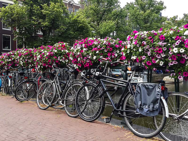 <a href='http://koenigbicycle.ru/js/ymapload/mapload.htm?maps/v1538tr.kml&52.3638888888889&4.89833333333333&17&hybrid'><img src='/images/Yandex_Maps_logo_25px.gif'></a> <a href='https://www.google.com/maps?z=15&t=h&q=52.3638888888889,4.89833333333333' target='_blank'><img src='/images/25px-Google_Maps_icon.jpg'></a>