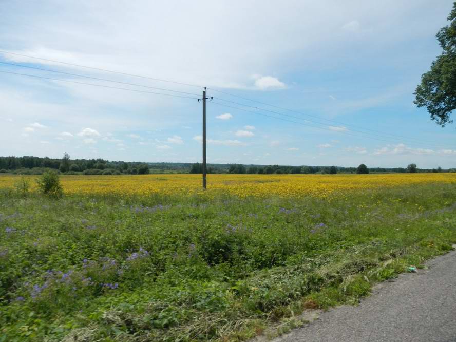 Красиво