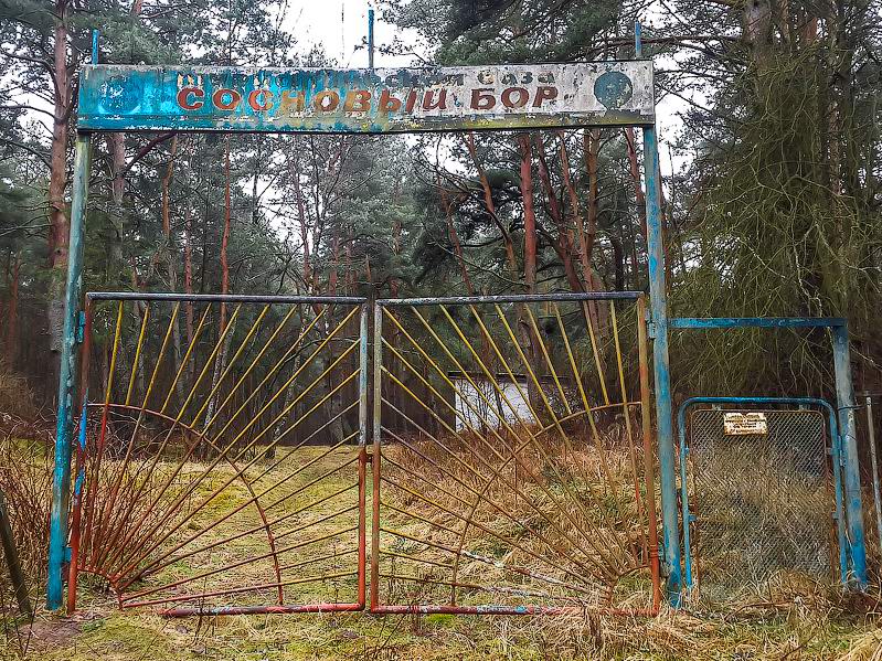 Туристическая база 'Сосновый бор'