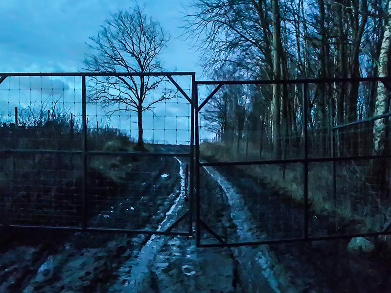 Въезд в сафари-парк Мушкино