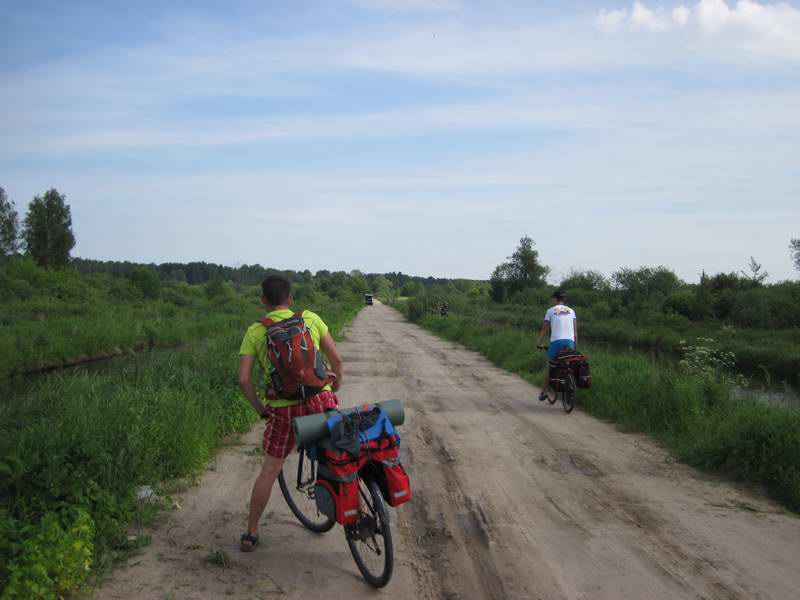 Дорога в лес