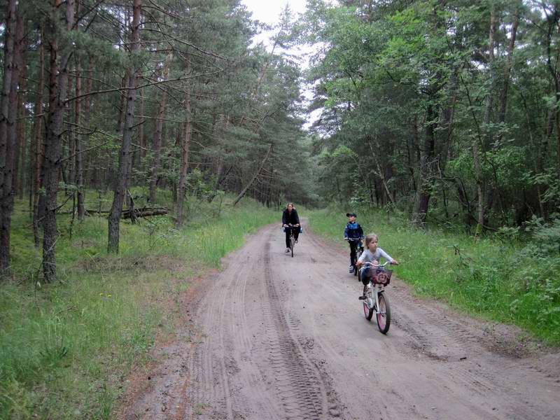 Едем