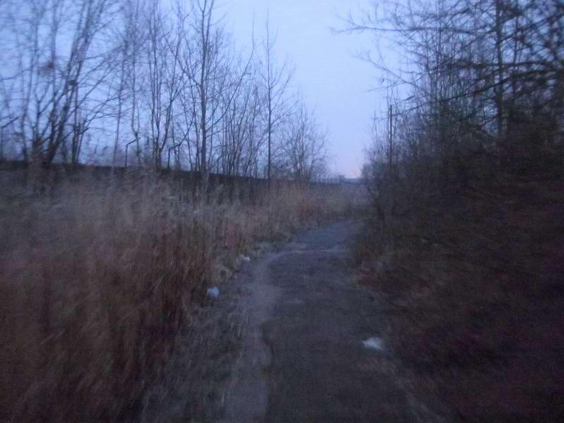 Тропа между ул. Печатной и Камской