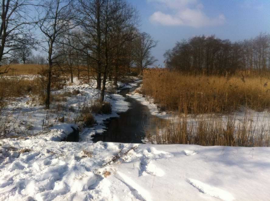 Unnamed Road, Калининградская область