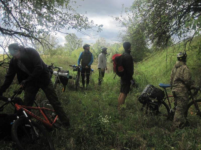 Остановка у яблони с целью подкрепиться