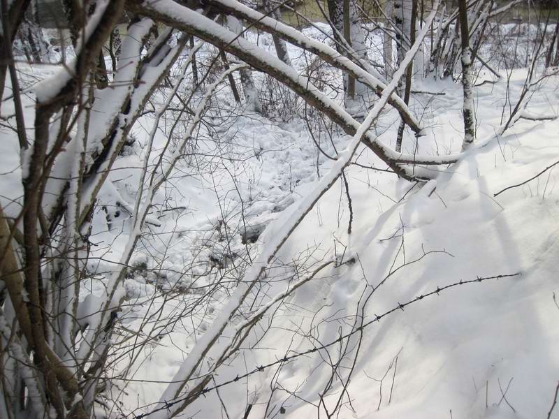 Колючая проволока