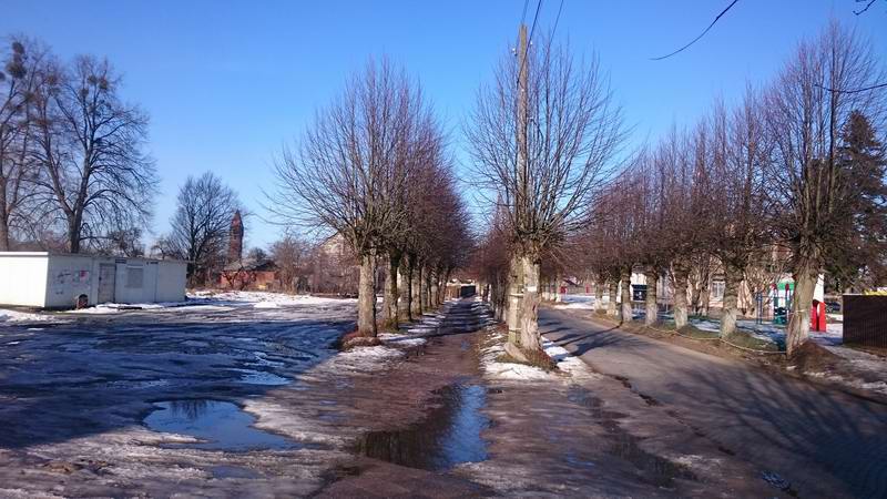 Одна из центральных дорог, пос. Корнево