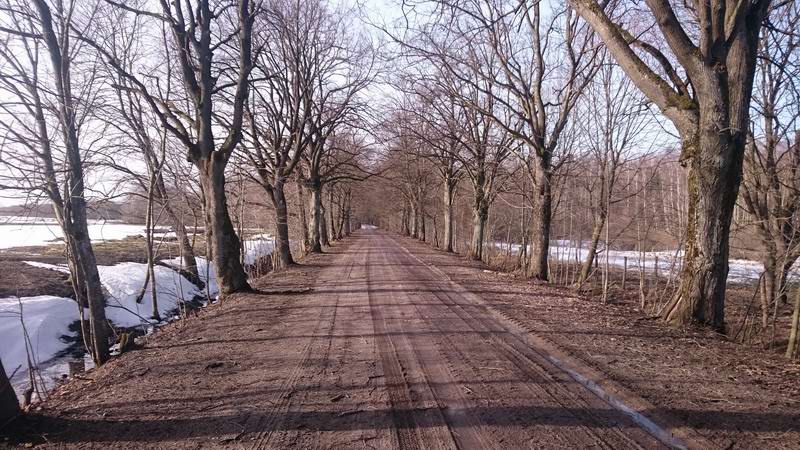 Вот такая грунтовая дрога, снова пахнет весной, птички чирикают