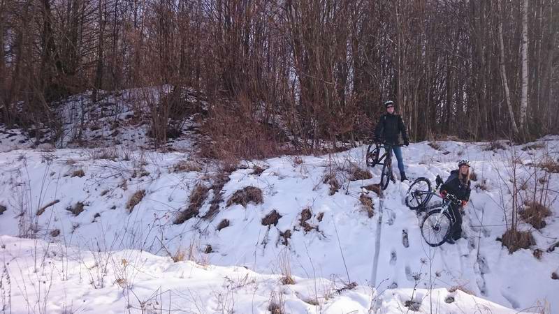 Выходим из леса