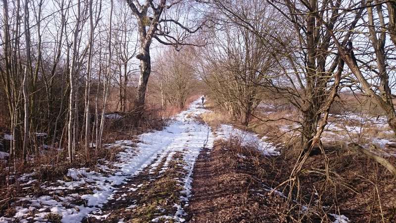 Вот такая дорога на Липовку