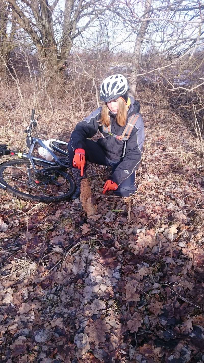 Оля на обочине нашла сюрпризы