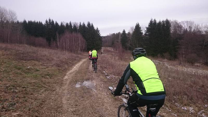 Въезжаем с поля в лес