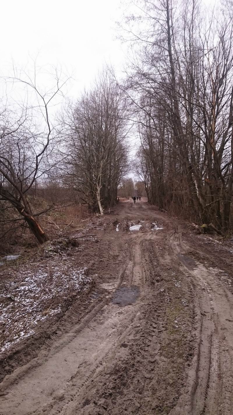 Выехали на старую немецкую дрогу, местами попадается булыжник