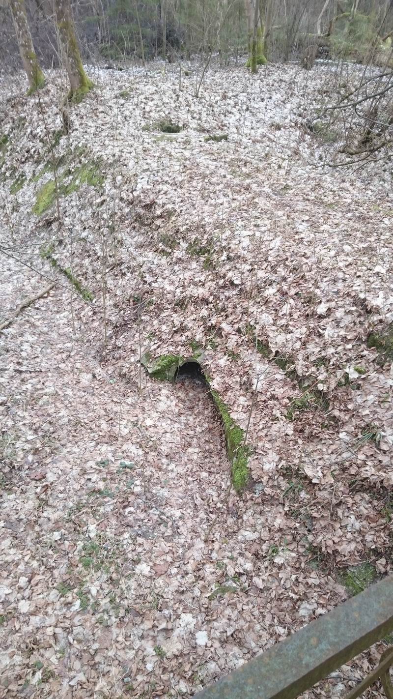 Отвод в дублирующие русло реки