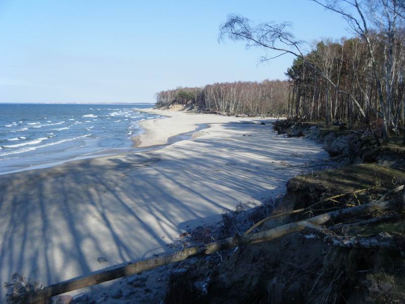 Река Забава выносит свои воды в Балтийское море