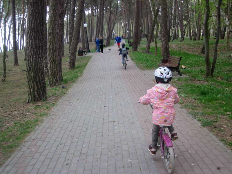 Едем через парк