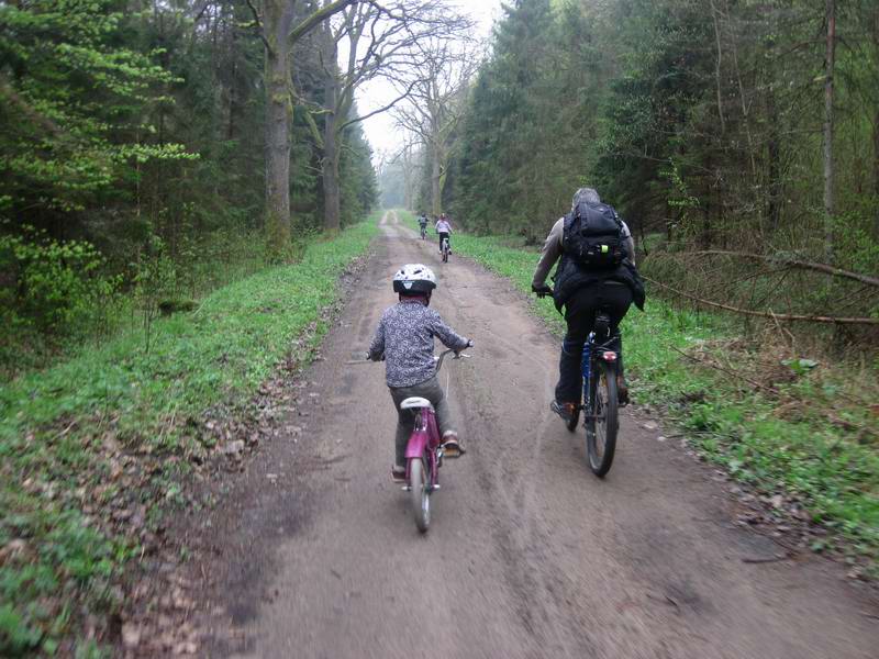 Дождь кончился, и мы поехали дальше