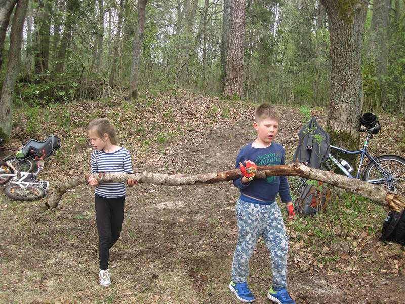 Дети собирают дрова