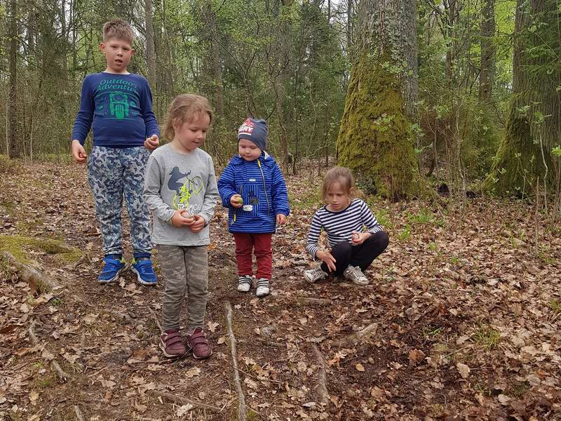 Конкурс по катанию яиц