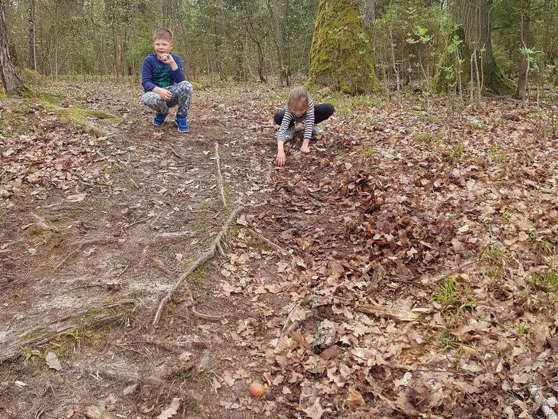 Катание яиц