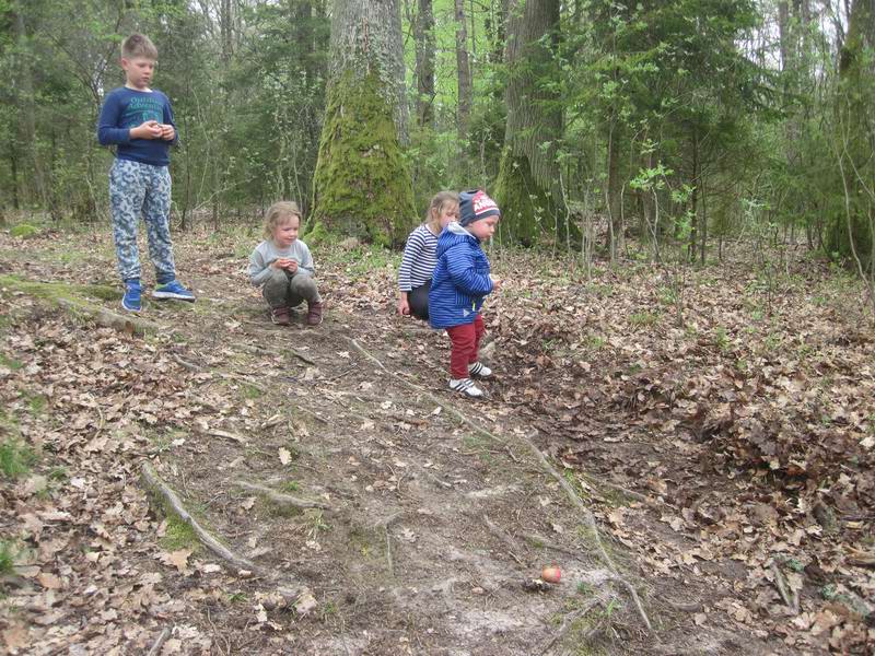 Катание яиц